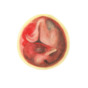 Gouache illustration from book Hen and Egg