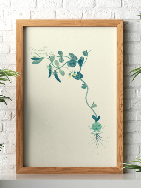 Bean poster from the book Vodavoděnka