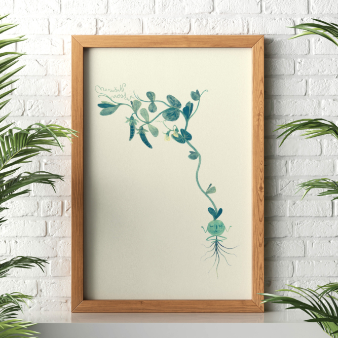 Bean poster from the book Vodavoděnka