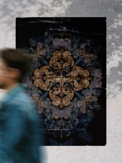 kristyna_klaban_plakat_sympozium-ilustrace_trnka