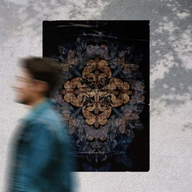 kristyna_klaban_plakat_sympozium-ilustrace_trnka